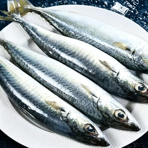 Fresh Frozen Whole Mackerel